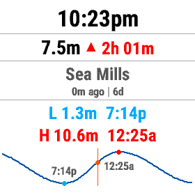 TideCastDF on the activity data screen